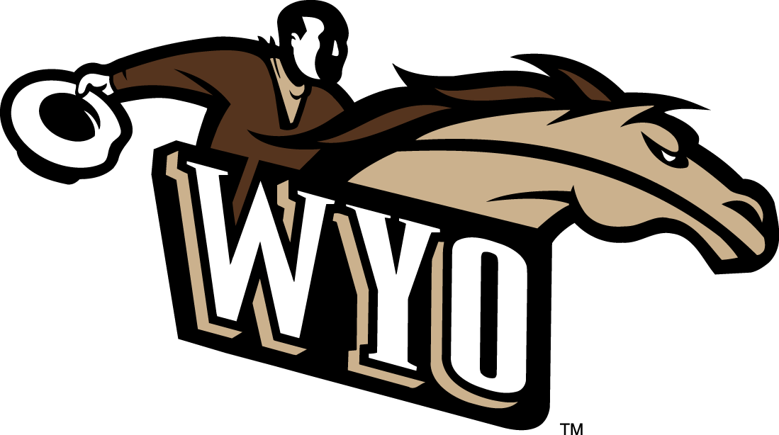 Wyoming Cowboys 1997-2006 Alternate Logo v2 DIY iron on transfer (heat transfer)